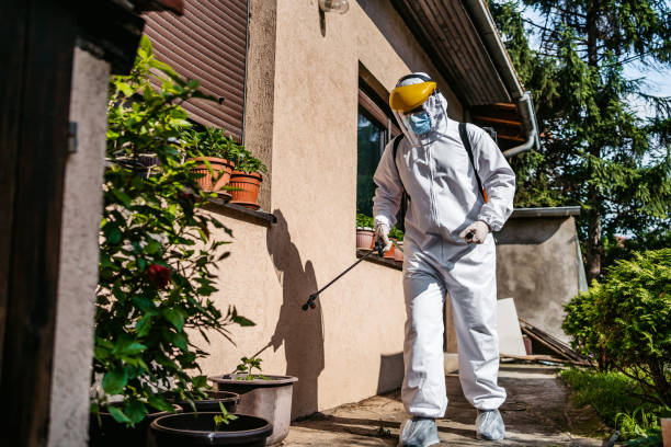 Best Rat Extermination Near Me  in Pquemine, LA
