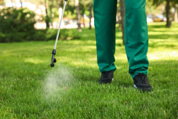 Best Affordable Pest Control Services  in Pquemine, LA