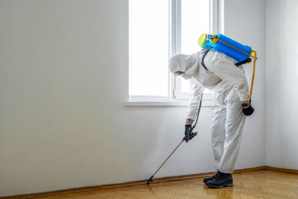 Pest Control for Restaurants in Plaquemine, LA