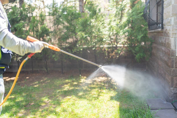 Best Cockroach Control Services  in Pquemine, LA